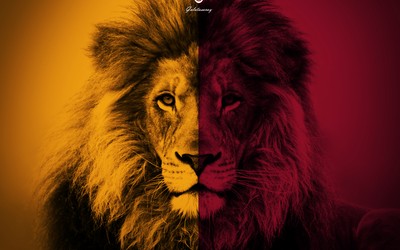 亚美电竞动态-伊萨克突破后横传造进球